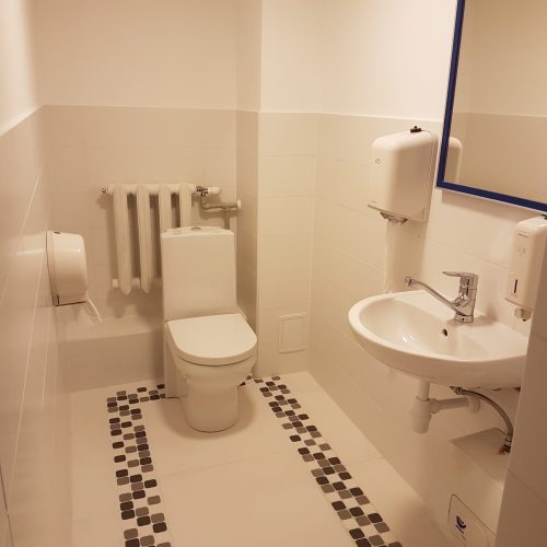 Tualesu remonts - 58